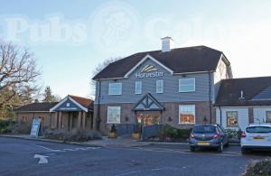 Picture of Harvester Beech Hurst