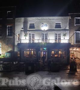 Picture of The Mute Swan