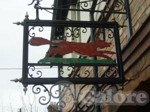 Picture of The Fox