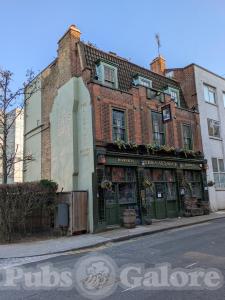 Picture of The Cat's Back