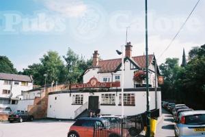 Picture of Turks Head