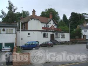 Picture of Turks Head