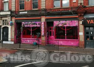 Picture of The Bohemian