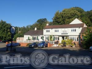 Picture of Robin Hood