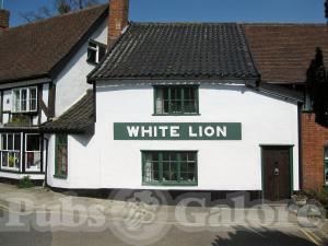 Picture of White Lion
