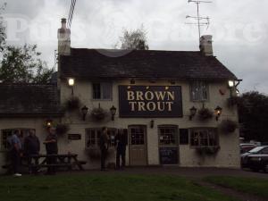 Picture of The Brown Trout