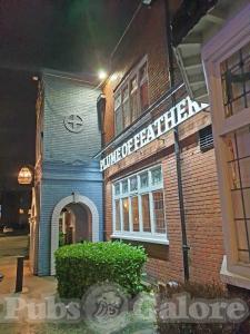 Picture of Plume of Feathers