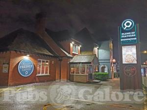 Picture of Plume of Feathers