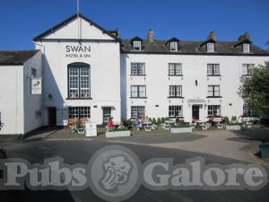 Picture of Swan