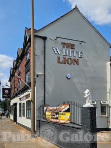 The White Lion