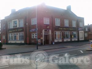 Picture of White Hart