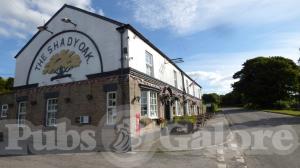Picture of The Shady Oak