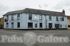 Picture of The White Lion