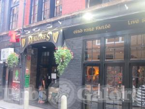Picture of Malones