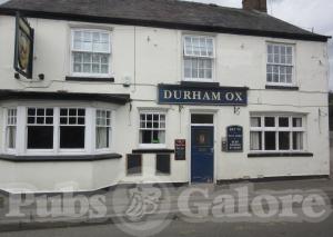 Picture of Durham Ox