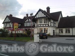 Picture of Royal Oak