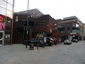 Picture of The Castle & Falcon