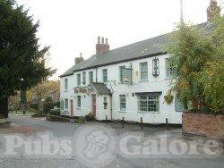 Picture of The White Swan
