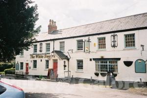Picture of The White Swan