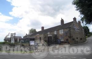 Picture of The Peacock