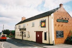 Picture of The White Lion