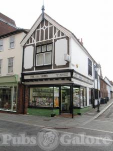 Picture of White Swan