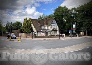 Picture of White Horse