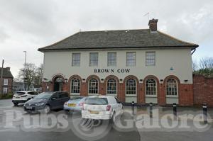 Picture of Brown Cow