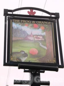 Picture of The Frog & Orange