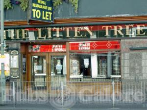 Picture of The Litten Tree