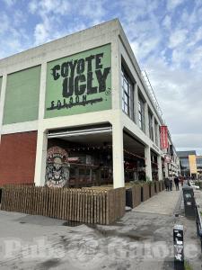 Picture of Coyote Ugly