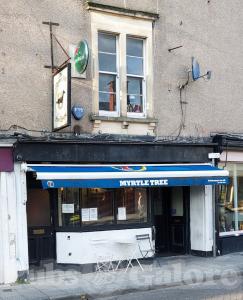 Picture of Myrtle Tree