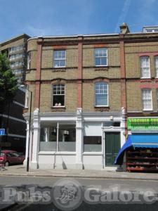 Picture of Three Loggerheads