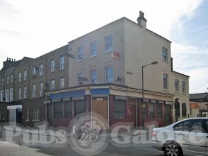 Picture of The Golden lion