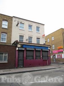 Picture of The Golden lion