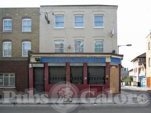 Picture of The Golden lion