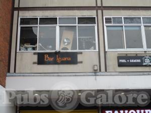 Picture of Bar Iguana