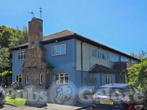 Picture of The Holly Blue