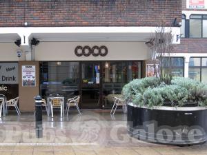 Picture of Coco