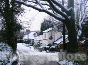 Picture of Fox & Hounds