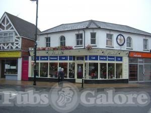 Picture of Bluebells