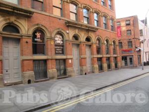 Picture of The Northern Monkey
