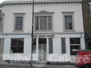 Picture of The Jam Tree