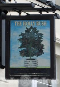 Picture of Holly Bush