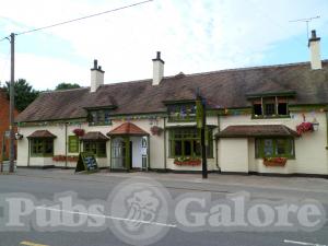Picture of Bull's Head