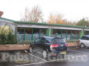 Picture of The Whistling Duck