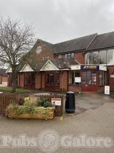 Picture of The Sparrow