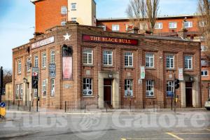 Picture of Black Bull