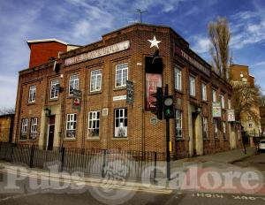 Picture of Black & White Bull