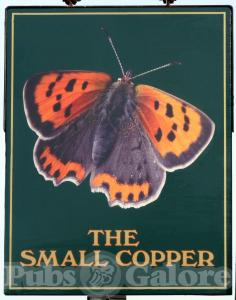 Picture of The Small Copper
